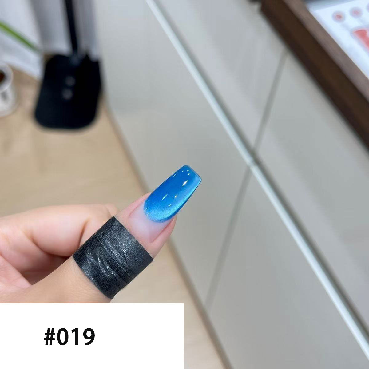 19 Colors Cat Eye Collection