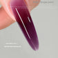 Mr Nail Extension Gel & Sandwich Nail Forms