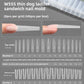 MR NAIL French Nail Forms & 3D Acrylic Builder Gel  Quick Extension Self-leveling