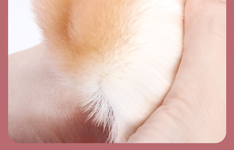 Japanese Style Nail Art Brush Rose Design Dust Cleaner